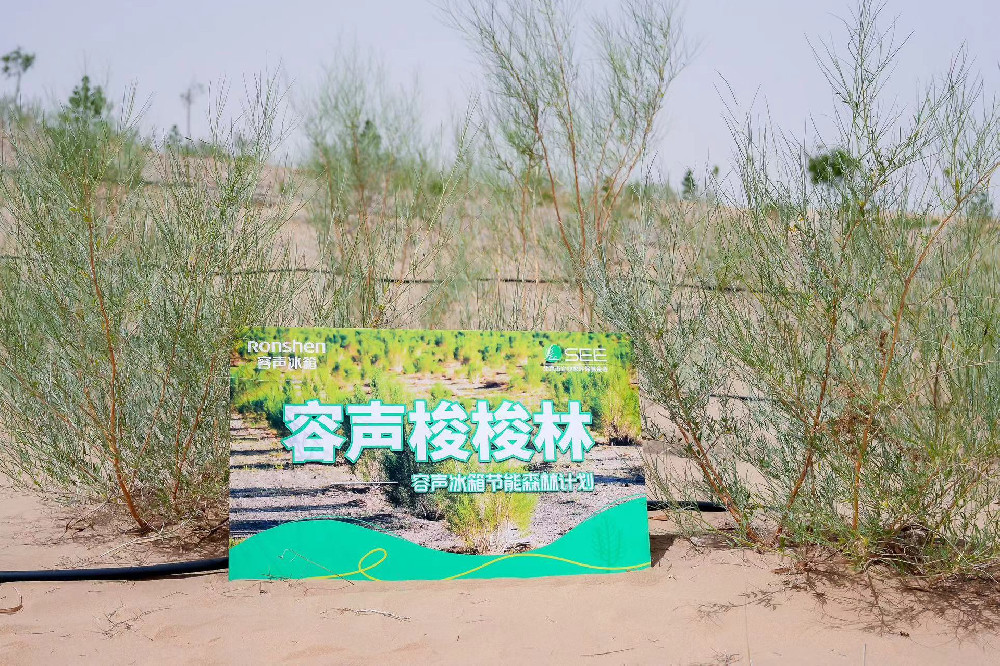 从冰箱到森林，容声冰箱收获低碳发展下的用户赋能